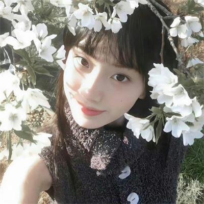 爱犬情深封面
